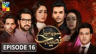 Soya Mera Naseeb Episode #16 HUM TV Drama 1 July 2019