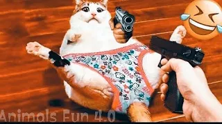 Funny Animal Videos 2023 🤣😁 | Funniest Dogs and Cats 😂😂 | Animals Fun 4.0 | Video #51 |