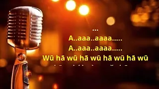 Shen qi de ma - xu wen you - karaoke no vokal ((cover to lyrics pinyin)