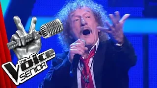 Procol Harum - A Whiter Shade Of Pale (Geff Harrison) | The Voice Senior | SAT.1