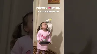 Какаду Кирюня