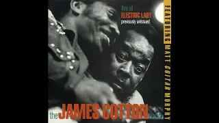 James Cotton - Live at Electric Lady