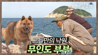 전기도, 물도 없던 무인도에 단둘이 사는 부부?! ⛰ 동물들과 함께 꾸린 낙원 | 그들만의 낙원 | KBS 인간극장 2014 방송