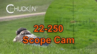 First Tactacam Woodchuck Hunt - Awesome Scope Cam Footage