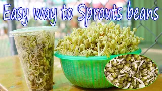 Cheap Easy  Way To Grow Mung Bean Sprout in Plastic Basket