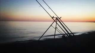 BEACH FISHING IN SEAFORD | WITH A STUNNING SUNSET A FEW FISH & A NEW PB 😲 (UK SHORE FISHING)