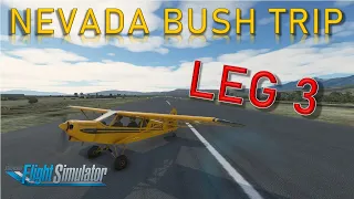 Microsoft Flight Simulator 2020 - Nevada Bush Trip - Leg 3