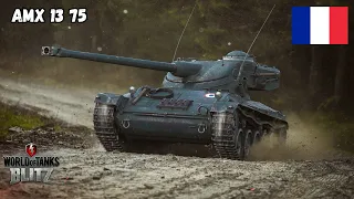 AMX 13 75  speedy