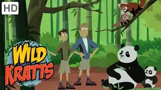 Wild Kratts - Wildlife Superheroes!