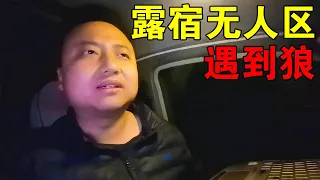 河南小伙穷游中国，露宿无人区遇到狼群，吓得躲在车里一夜没睡【穷游的似水年华】