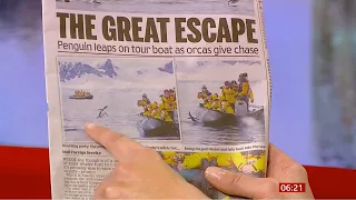 Penguin jumps into tourist boat + camel & dung beetle (fun stories) (Global) BBC News 9th March 2021