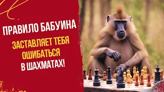Правило бабуина заставляет тебя ошибаться в шахматах!