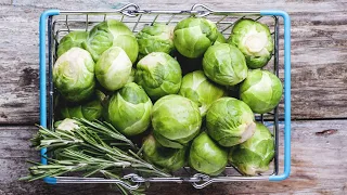 Repollo (vegetal) Beneficios y consejos y uso de recetas saludables