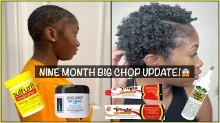 HOW I APPLY DOO GRO FOR MAX GROWTH 🚨 9 MONTH BIG CHOP W/ PICS| DOO GRO+WILD GROWTH +HAIR FERTILIZER