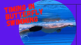 Butterfly swimming | how to get the timing right #swim #butterflyswimming