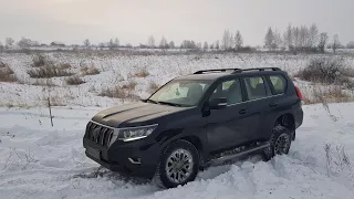 Тойота Прадо 150. Сравнение поколений. Toyota Land Cruiser Prado. Лиса рулит