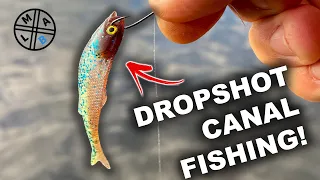 Dropshot Fishing for Canal Perch!