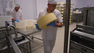 От куда берется сыр?