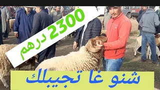 مباشرة من سوق سبت عين حناش إفران اليوم 25/5/2024 أتمنة حولي العيد طاحت فيه 300 درهم مع حولية و جدي .