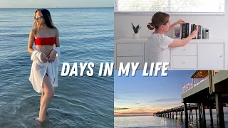 Sunrise Beach Photoshoot, Home Office Makeover, Decluttering, & Pursuing Dreams | VLOG