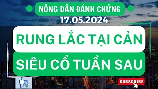 Chứng khoán hôm nay / Nhận định thị trường : Cổ phiếu thi nhau vượt đỉnh - Siêu cổ tuần sau