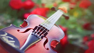 [Violin Playlist] 춤이 생각나는 우아하고 희망찬 곡들