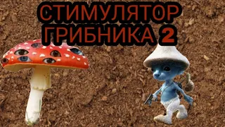 СТИМУЛЯТОР ГРИБНИКА 2