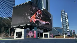 Samsung LED Giant 3D Billboard with in Gangnam, Seoul, Korea
