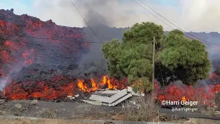 *From the ARCHIVE*: *LAVA Destruction on LA PALMA*, late Oct 2021