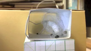 Timelapse : Silkworm making cocoon