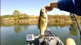 Catching Big Bass On Swimbaits