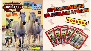 PANINI Новинка! Альбом для наклеек Самые красивые лошади мира 2023 год.Обзор и распаковка пакетиков!