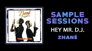 Sample Sessions - Episode 286: Hey Mr. D.J. - Zhané