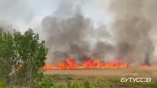 Поле пшениці згорає за хвилини від російського обстрілу. Харківщина.