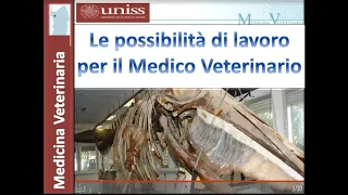 Open Day Medicina veterinaria - parte prima