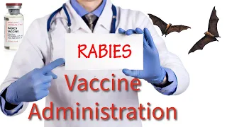 Rabies Vaccination: What You Need to Know