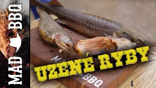 UZENÍ RYB | Jak vyudit ryby | Kapr, jeseter a pstruh v udírně | MAD BBQ