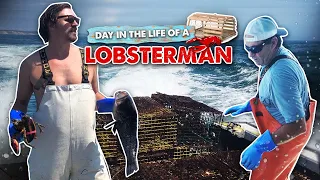 A DAY IN THE LIFE OF A LOBSTERMAN