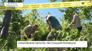 Эксгумация тел в Харьковской области. Подробности