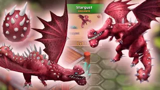 Stargust — New Exclusive Windgnasher Max Level 175 Titan Mode | Dragons: Rise of Berk