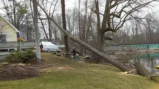 Removal of hazard oak tree over house.