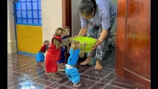 4 Siblings Rushing To Mom Very Curious While Mom Bring Them Mysterious Basket To Play ,