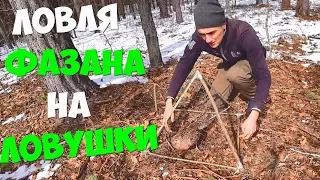 24 ЧАСА! ЛОВУШКА НА ФАЗАНА! ГОТОВЛЮ ШУРПУ!