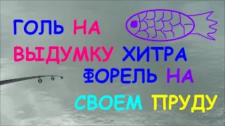 ГОЛЬ НА ВЫДУМКУ ХИТРА//ЛОВИМ ФОРЕЛЬ НА ГОЛЫЙ КРЮЧОК//РЫБАЛКА НА СВОЕМ ПРУДУ