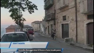 Sant agata Incendio distrugge ettari di bosco e fumo invade paese TG Teleregione 22 02 2017