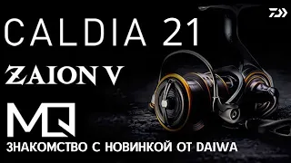 Обзор DAIWA 21 CALDIA FC LT 2000S. Первые впечатления. Хорошая катушка среднего ценового диапазона.