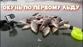 Первый лед 2018-2019. СЕЗОН ОТКРЫТ!!!