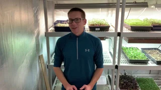 How to Sell Microgreens