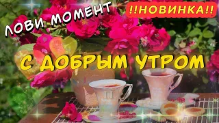 Доброе утро Солнышко! 💖 Пожелания Доброго Утра💕 С Любовью ДЛЯ Вас!