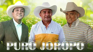 Reinaldo Armas, Vitico Castillo, Jorge Guerrero - Lo Mejor De Musica llaneras - Puro Joropo Mix